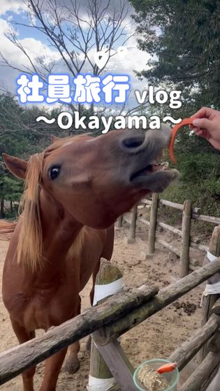 社員旅行vlog～Okayama～